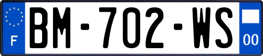 BM-702-WS
