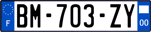 BM-703-ZY