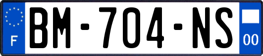 BM-704-NS