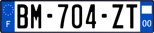 BM-704-ZT