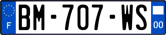 BM-707-WS