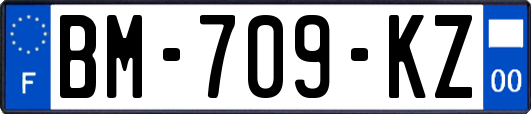 BM-709-KZ