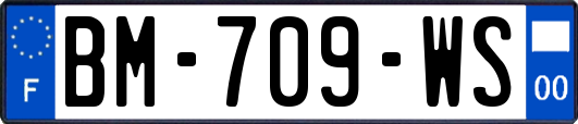 BM-709-WS