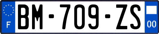 BM-709-ZS