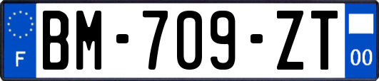 BM-709-ZT