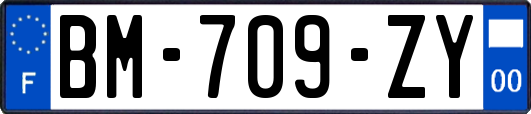 BM-709-ZY