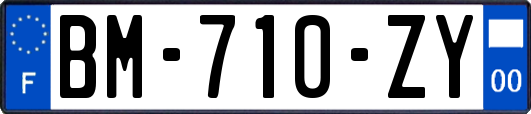 BM-710-ZY