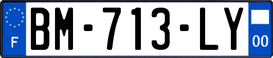 BM-713-LY