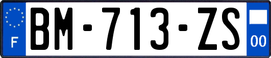 BM-713-ZS