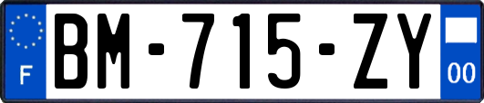 BM-715-ZY