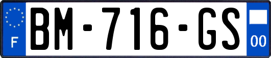 BM-716-GS