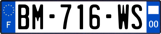 BM-716-WS