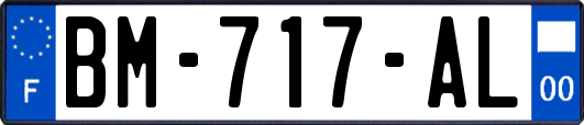 BM-717-AL