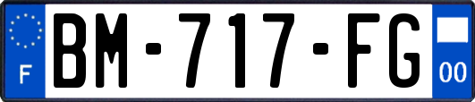 BM-717-FG