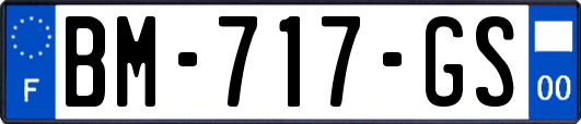 BM-717-GS