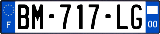 BM-717-LG