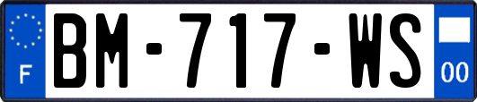BM-717-WS