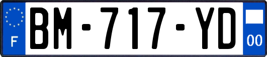 BM-717-YD