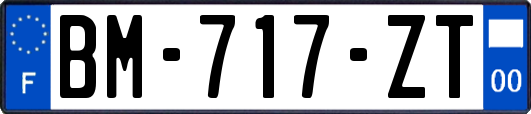 BM-717-ZT