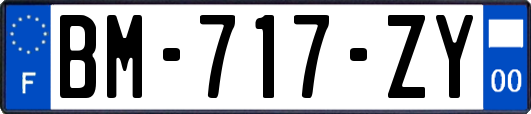 BM-717-ZY