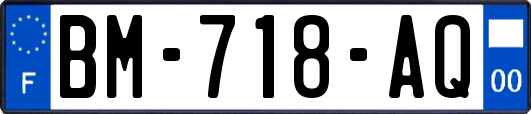 BM-718-AQ