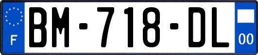 BM-718-DL