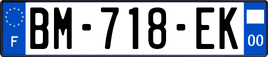 BM-718-EK