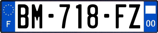 BM-718-FZ
