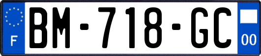 BM-718-GC