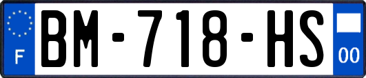 BM-718-HS