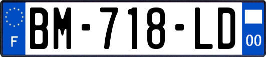 BM-718-LD