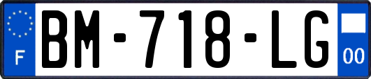 BM-718-LG