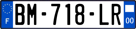 BM-718-LR