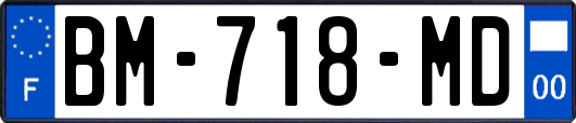 BM-718-MD