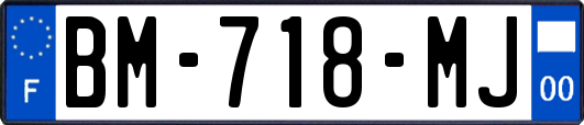 BM-718-MJ