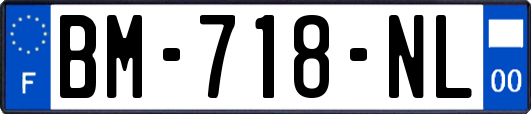 BM-718-NL