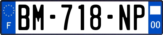 BM-718-NP