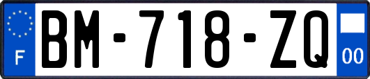 BM-718-ZQ