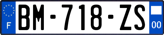 BM-718-ZS