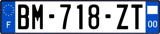 BM-718-ZT