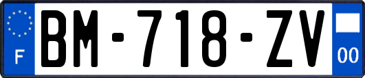 BM-718-ZV