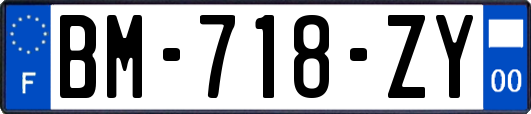 BM-718-ZY