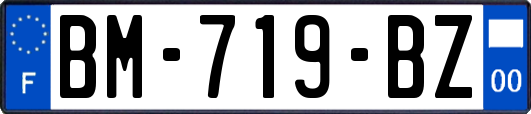 BM-719-BZ