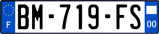 BM-719-FS