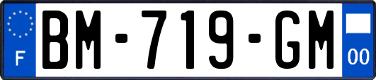 BM-719-GM