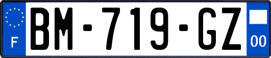 BM-719-GZ