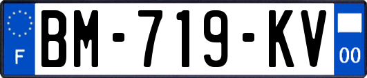 BM-719-KV