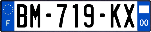 BM-719-KX