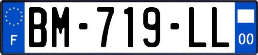 BM-719-LL