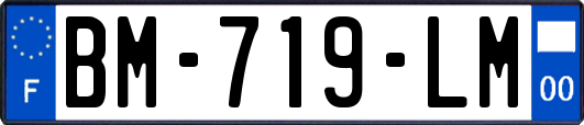 BM-719-LM